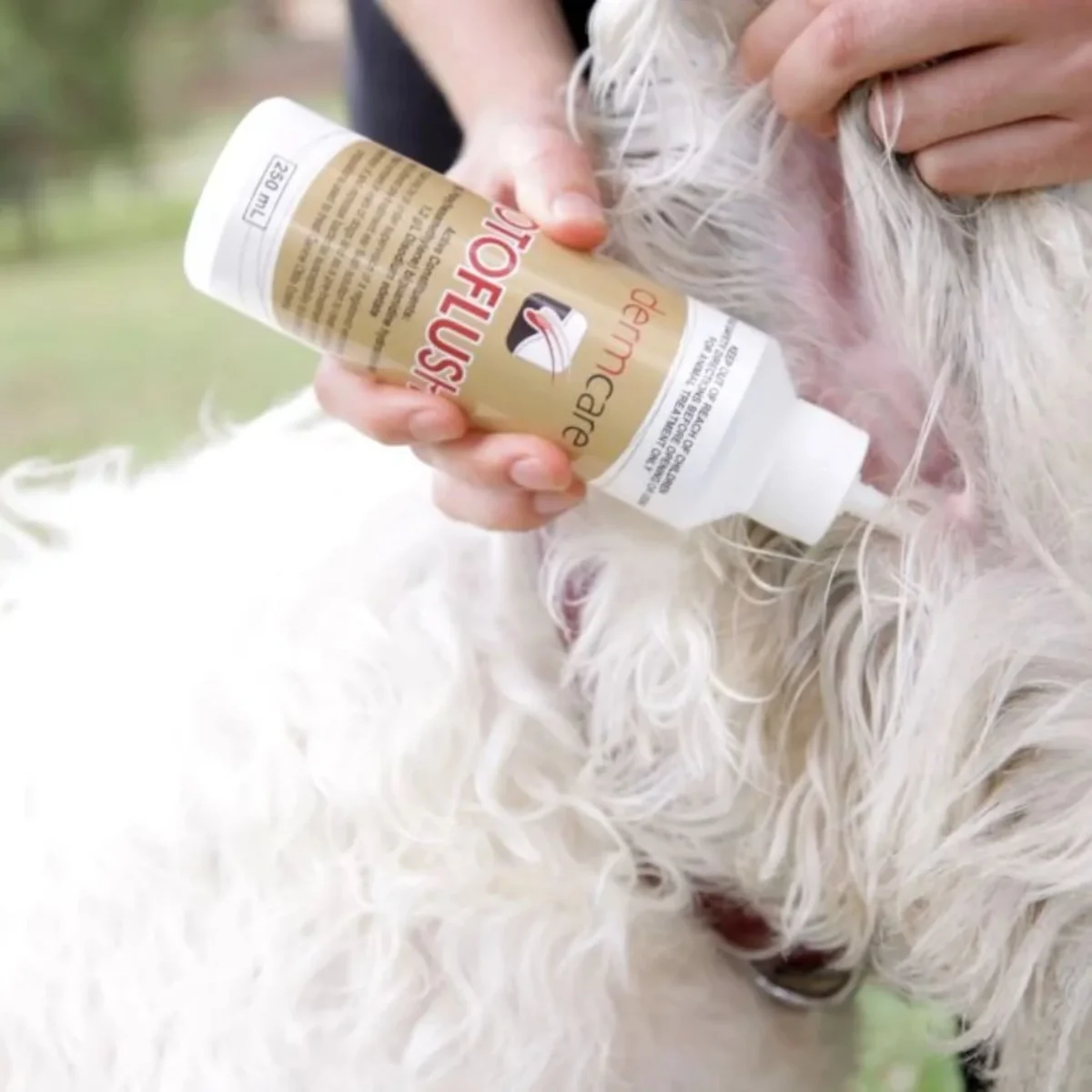 Dermcare Otoflush Ear Flush for Dogs - Image 3
